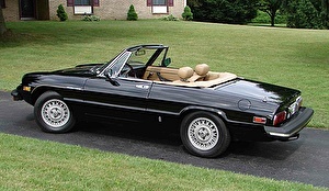 Шины на Alfa Romeo Spider 1981