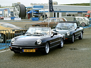 Шины на Alfa Romeo Spider 1990