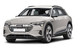 Шины на Audi e-tron 2021