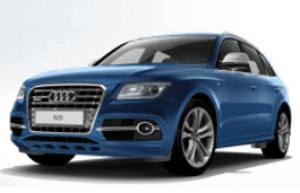 Шины на Audi SQ5 2012