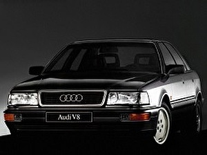 Шины на Audi V8 1988