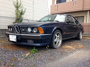 Шины на BMW 6 Series 1982