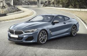 Шины на BMW 8-series 2018