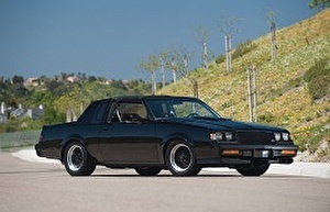 Шины на Buick Grand National 1981