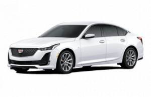 Шины на Cadillac CT5 2019