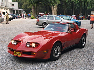 Шины на Chevrolet Corvette 1980