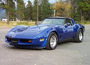 Шины на Chevrolet Corvette 1981