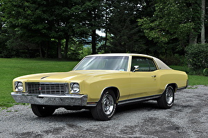 Шины на Chevrolet Monte Carlo 1972