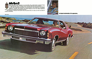 Шины на Chevrolet Monte Carlo 1974