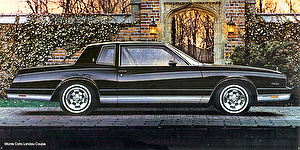 Шины на Chevrolet Monte Carlo 1981