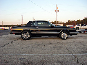 Шины на Chevrolet Monte Carlo 1988