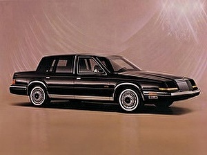 Шины на Chrysler New Yorker 1989