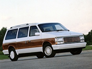 Шины на Chrysler Town & Country 1990