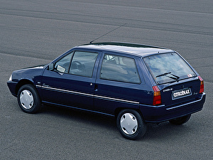 Шины на Citroen Ax 1991