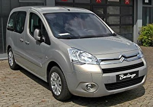 Шины на Citroen Berlingo 2008