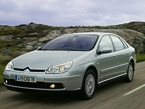 Шины на Citroen C5 2004