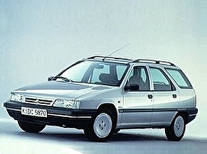 Шины на Citroen ZX 1991