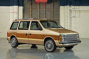 Шины на Dodge Caravan 1984