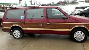 Шины на Dodge Caravan 1989