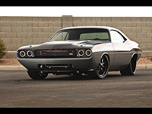 Шины на Dodge Challenger 1979