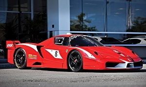 Шины на Ferrari FXX 2006