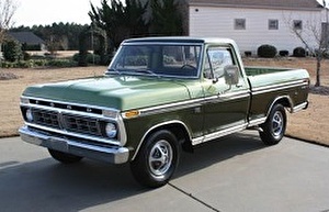 Шины на Ford F-100 1976