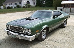 Шины на Ford Gran Torino 1973