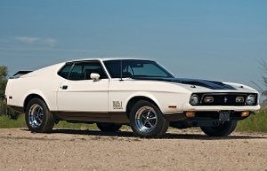 Шины на Ford Mustang Mach 1 1971