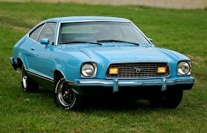 Шины на Ford Mustang Mach 1 1974