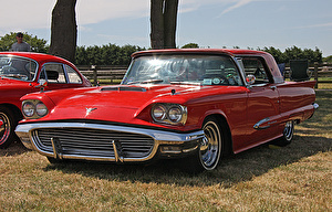 Шины на Ford Thunderbird 1959