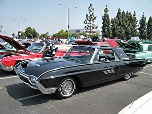 Шины на Ford Thunderbird 1963