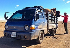 Шины на Hyundai Porter 2000