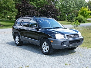 Шины на Hyundai Santa Fe 2003