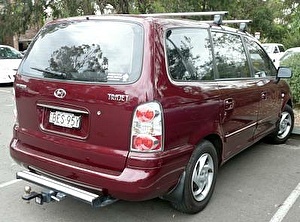 Шины на Hyundai Trajet 2006