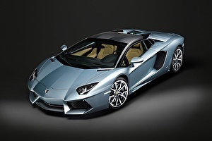 Шины на Lamborghini Aventador LP700-4 Roadster 2013