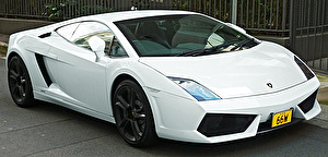 Шины на Lamborghini Gallardo LP550-2 2011