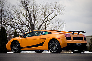 Шины на Lamborghini Gallardo 2008