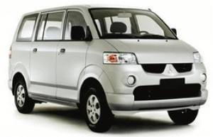 Шины на Mitsubishi Maven 2005