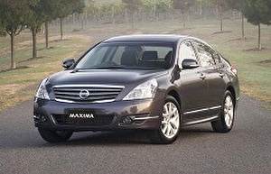 Шины на Nissan Maxima 2009