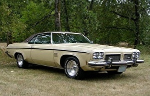 Шины на Oldsmobile 88 1973