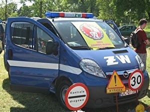 Шины на Opel Vivaro 2010