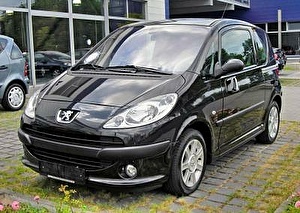 Шины на Peugeot 1007 2009