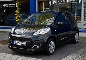 Шины на Peugeot 1007 2011