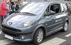 Шины на Peugeot 1007 2013