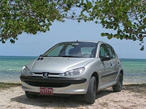 Шины на Peugeot 206 2004