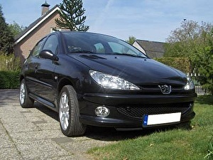 Шины на Peugeot 206 2006