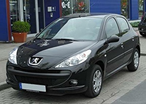 Шины на Peugeot 206 2010