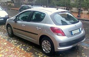 Шины на Peugeot 207 2010