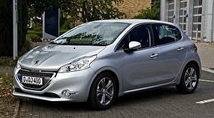 Шины на Peugeot 207 2016