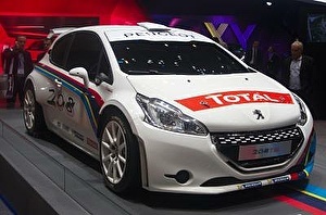 Шины на Peugeot 208 2013